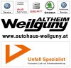 Weilguny-Logo-2017